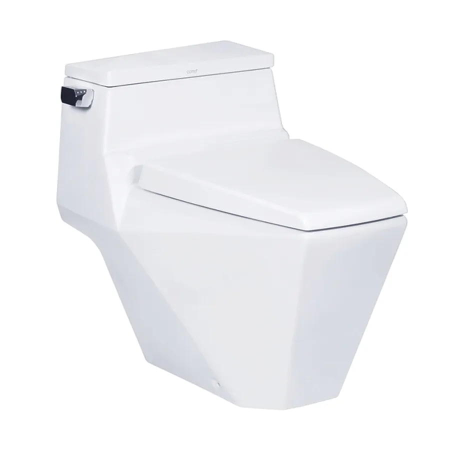 Bàn Cầu 1 Khối Nắp Êm COTTO C10077