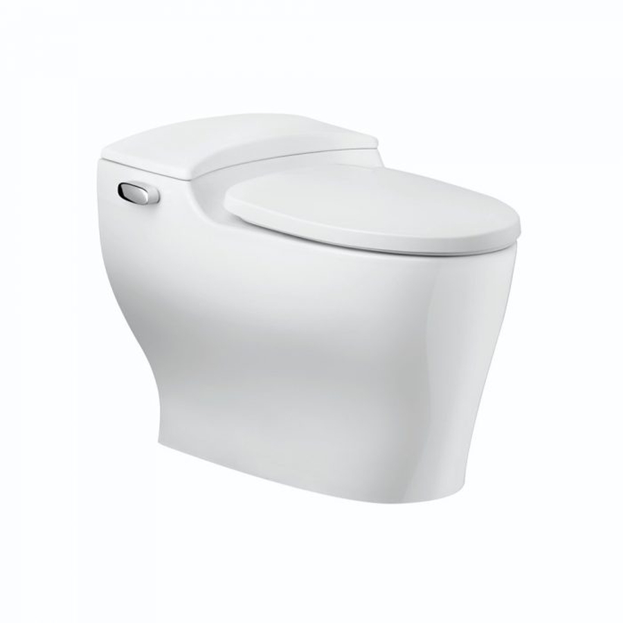 Bồn cầu đặt sàn Axent W320-1431-M1