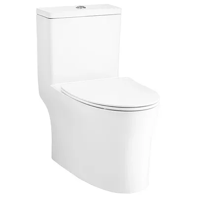 Bàn Cầu 1 Khối COTTO C105607 nắp rơi êm