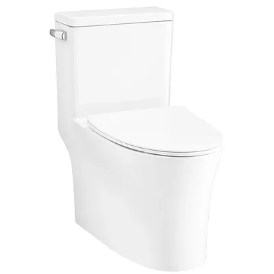 Bàn Cầu 1 Khối COTTO C105617