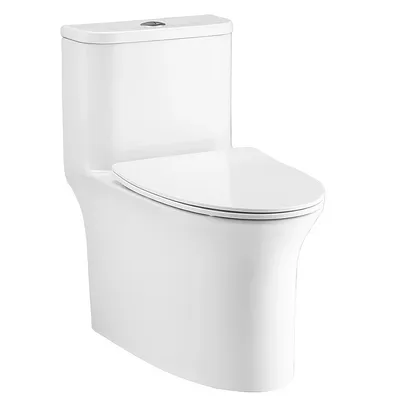Bàn cầu 1 khối Cotto C11006H