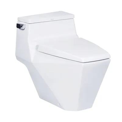 Bàn Cầu 1 Khối Nắp Êm COTTO C10077