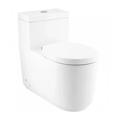 Bàn Cầu 1 Khối Nắp Ngồi Rơi Êm COTTO C102907