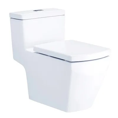 Bàn Cầu 1 Khối Nắp Rửa Cơ COTTO C107127