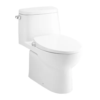 Bàn Cầu 1 Khối Nắp Rửa Cơ COTTO C1142(CN4)
