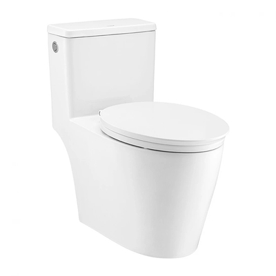 Bàn Cầu 1 Khối Xả Chạm COTTO C110517