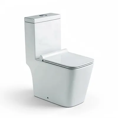 Bồn cầu 1 khối nắp rơi êm Atmor AT8869