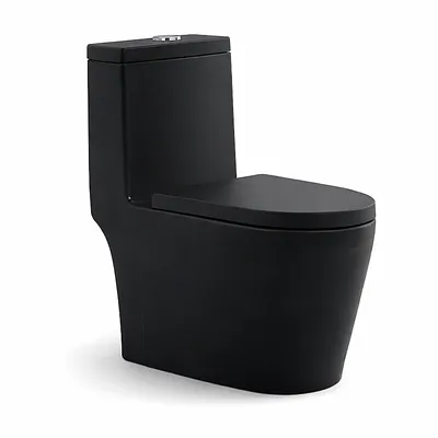 Bồn cầu 1 khối nắp rơi êm màu đen Atmor AT271B
