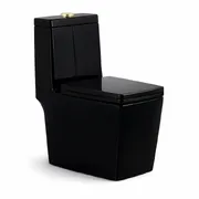 Bồn cầu 1 khối nắp rơi êm màu đen Atmor AT295B