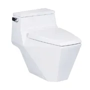 Bàn Cầu 1 Khối Nắp Êm COTTO C10077