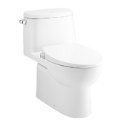 Bàn Cầu 1 Khối Nắp Rửa Cơ COTTO C1142(CN4)