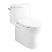 Bàn Cầu 1 Khối Nắp Rửa Cơ COTTO C1142(CN4)