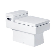 Bàn Cầu 1 Khối Vuông Xả Gạt Nắp Êm COTTO C10317 