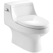 Bồn cầu 1 khối Moen SW3155