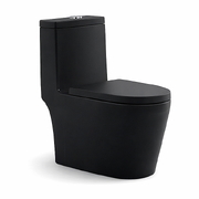 Bồn cầu 1 khối nắp rơi êm màu đen Atmor AT271B