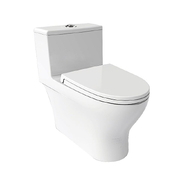 Bồn Cầu Một Khối JOMOO 11160-2-5/31K-I011