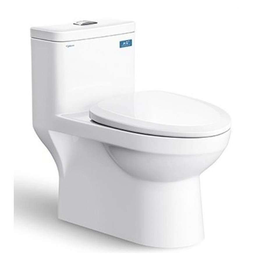 Bồn cầu 1 Khối nắp êm Viglacera MK2