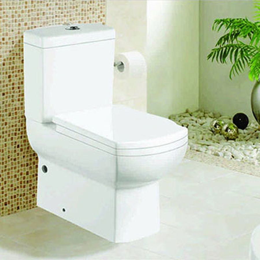 Bồn cầu 1 khối nắp rơi êm Govern LO-1010