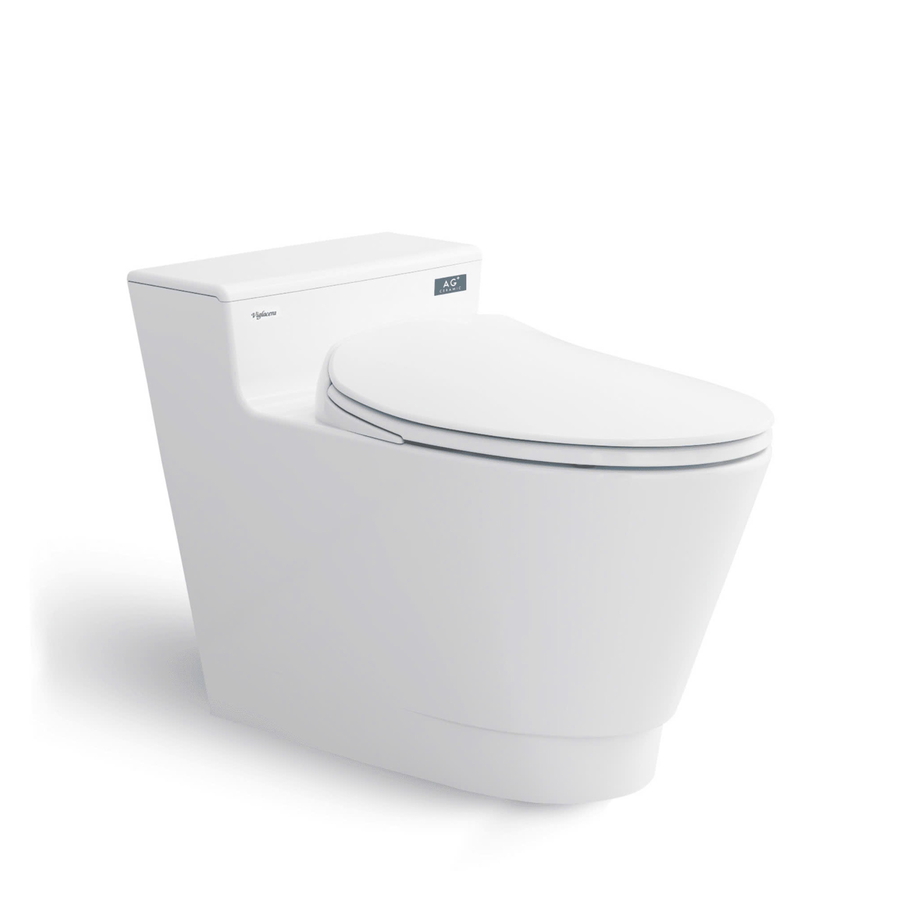 Bồn cầu 1 khối nắp rơi êm Platinum P.10.500