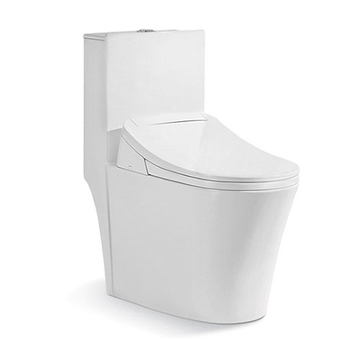 Bồn cầu 1 khối nắp điện tử Riba RB-2893A