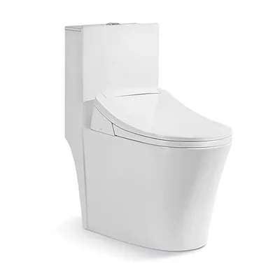 Bồn cầu 1 khối nắp điện tử Riba RB-2893A
