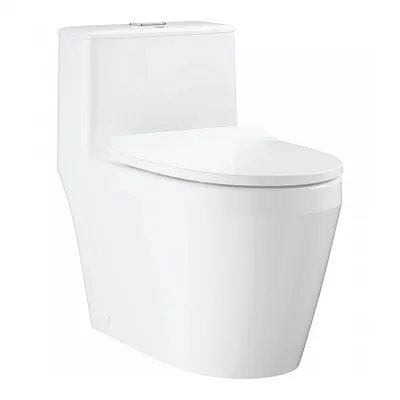 Bồn Cầu 1 Khối Nắp Đóng Êm Đức Grohe 100995SH00