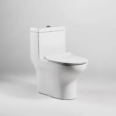 Bồn cầu 1 khối nắp êm BRAVAT C21165XUW-3