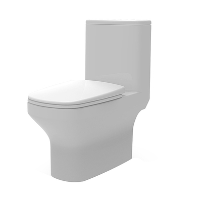 Bồn cầu 1 khối nắp êm BRAVAT C21171UW