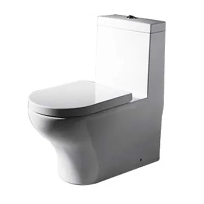 Bồn cầu 1 khối nắp êm BRAVAT C2181UW-P-ENG