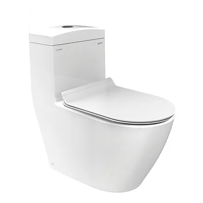 Bồn cầu 1 khối nắp êm Platinum P.11.350