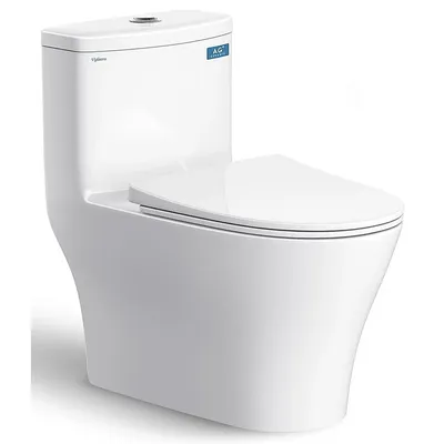 Bồn cầu 1 Khối nắp êm Viglacera V36 