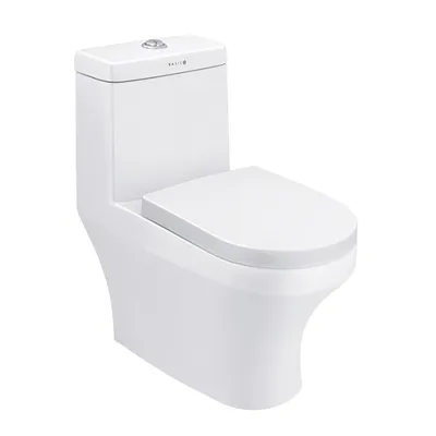 Bồn cầu 1 khối nắp rơi êm Basic BS-101