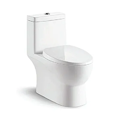 Bồn cầu 1 khối nắp rơi êm Clara CT-109SSPP
