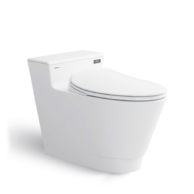 Bồn cầu 1 khối nắp rơi êm Platinum P.10.500