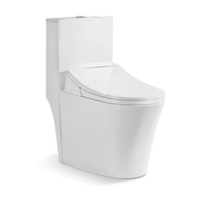 Bồn cầu 1 khối nắp điện tử Riba RB-2893A