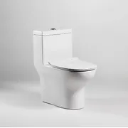 Bồn cầu 1 khối nắp êm BRAVAT C21165XUW-3