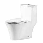 Bồn cầu 1 khối nắp êm cao cấp BRAVAT C21145UW-3C