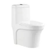 Bồn cầu 1 khối nắp êm Đức BRAVAT C21267XW-3-ENG