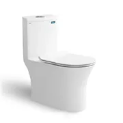 Bồn Cầu 1 Khối Nắp Êm SanFi S302