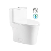 Bồn cầu 1 khối nắp rơi êm Clara CT-146SS