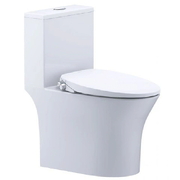 Bồn cầu 1 khối nắp rửa cơ Caesar C1391F+TAF060 