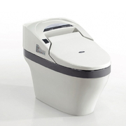 Bồn cầu 1 khối nắp điện tử Govern YKL-F31H