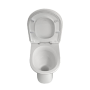 Bồn cầu nhập khẩu Đức Villeroy Boch ViCare 4684R0R1