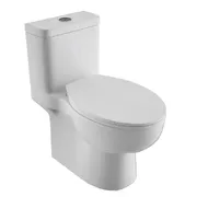 Bồn cầu 1 khối nắp êm cao cấp BRAVAT C2168XUW-3-ENG
