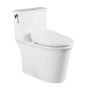 Bồn cầu 1 khối nắp rơi êm Clara CT-137SS