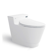 Bồn cầu 1 khối nắp rơi êm Platinum P.10.500