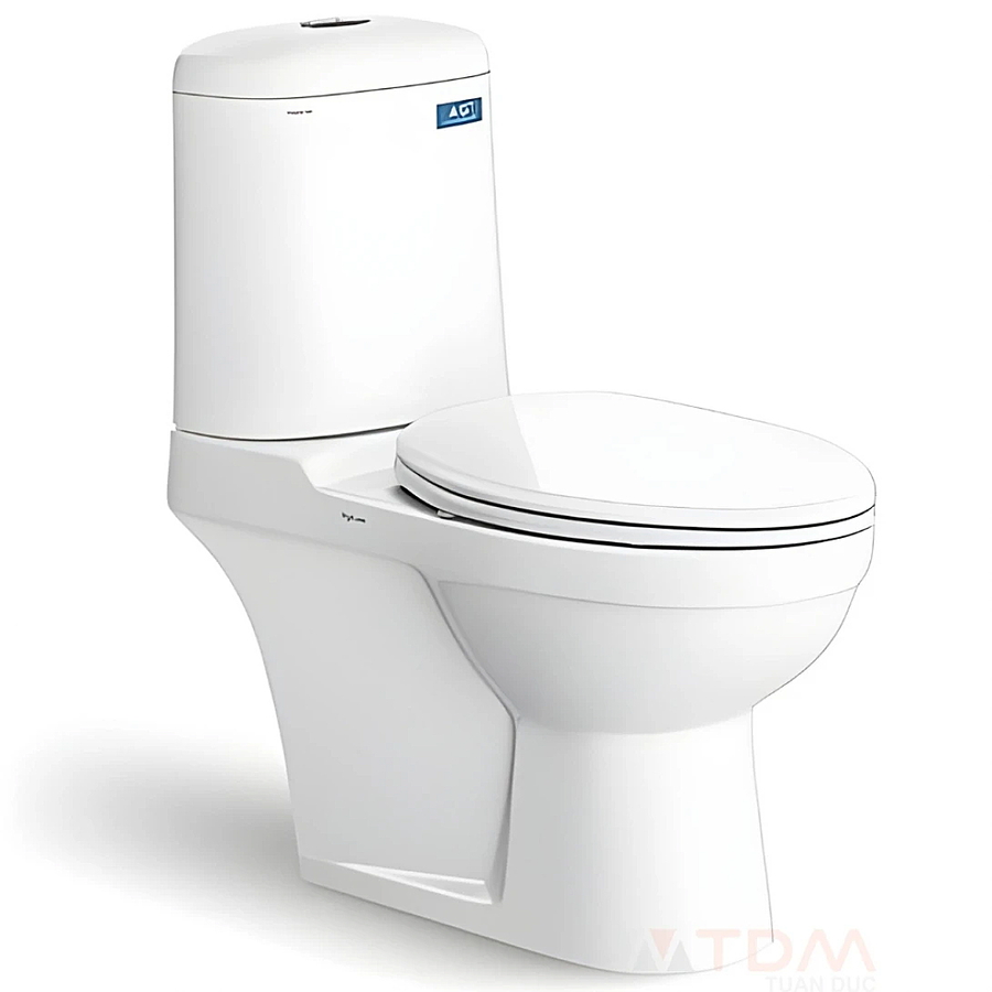 Bồn cầu 2 khối nắp êm Viglacera VI107 xả nhấn