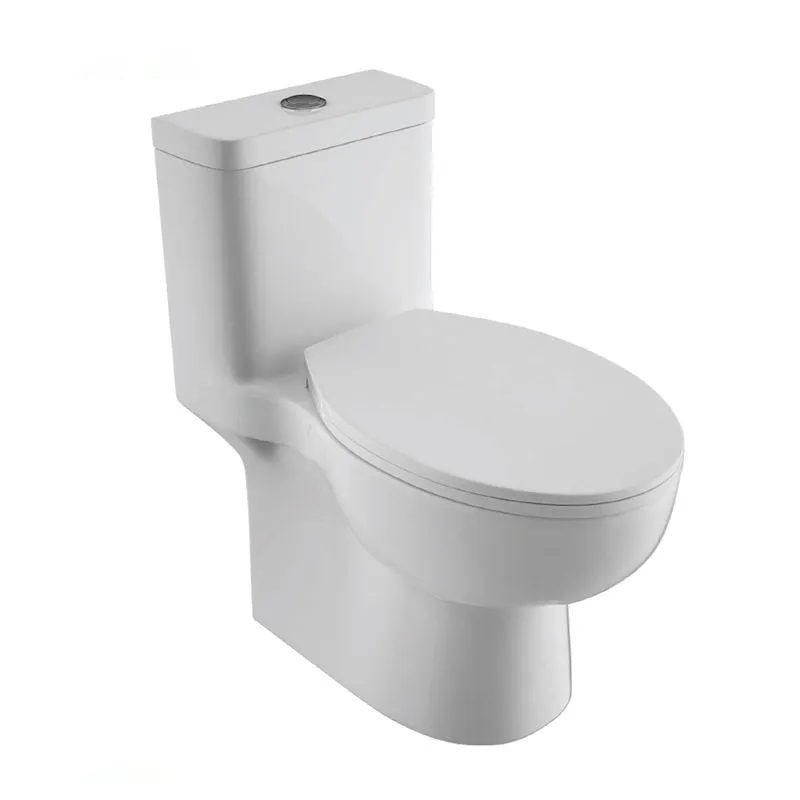 Bồn cầu 1 khối nắp êm BRAVAT C2168XW-3-ENG