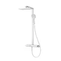 Sen Tắm Cây Nhiệt Độ Bravat F6642775WM-A