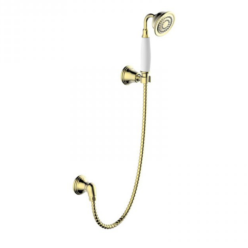 Bát sen tắm cầm tay cao cấp Bravat D277BAF-ENG